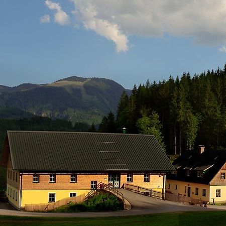 Ferienstadl - Hammerau Göstling an der Ybbs Zewnętrze zdjęcie
