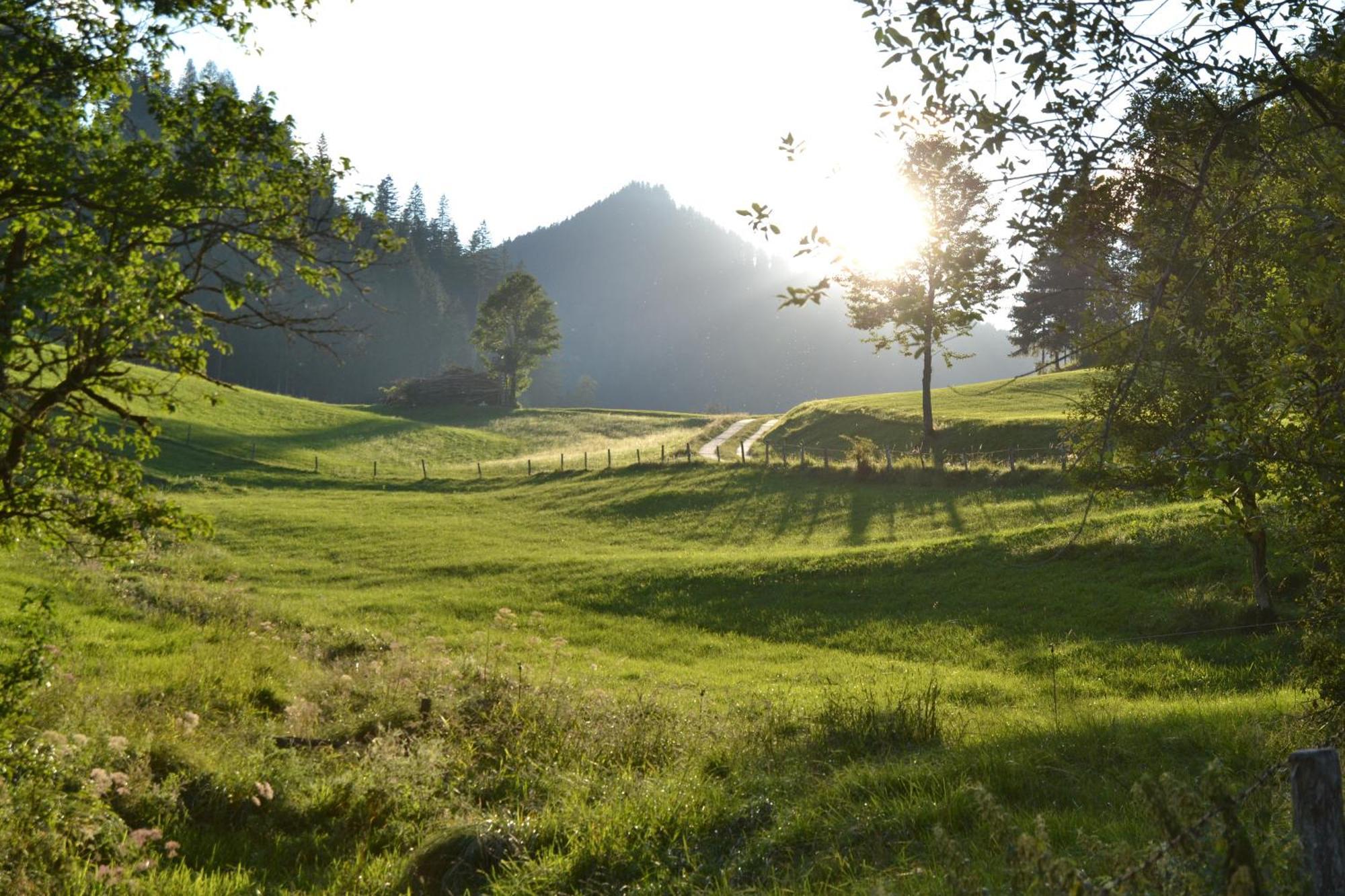 Ferienstadl - Hammerau Göstling an der Ybbs Zewnętrze zdjęcie