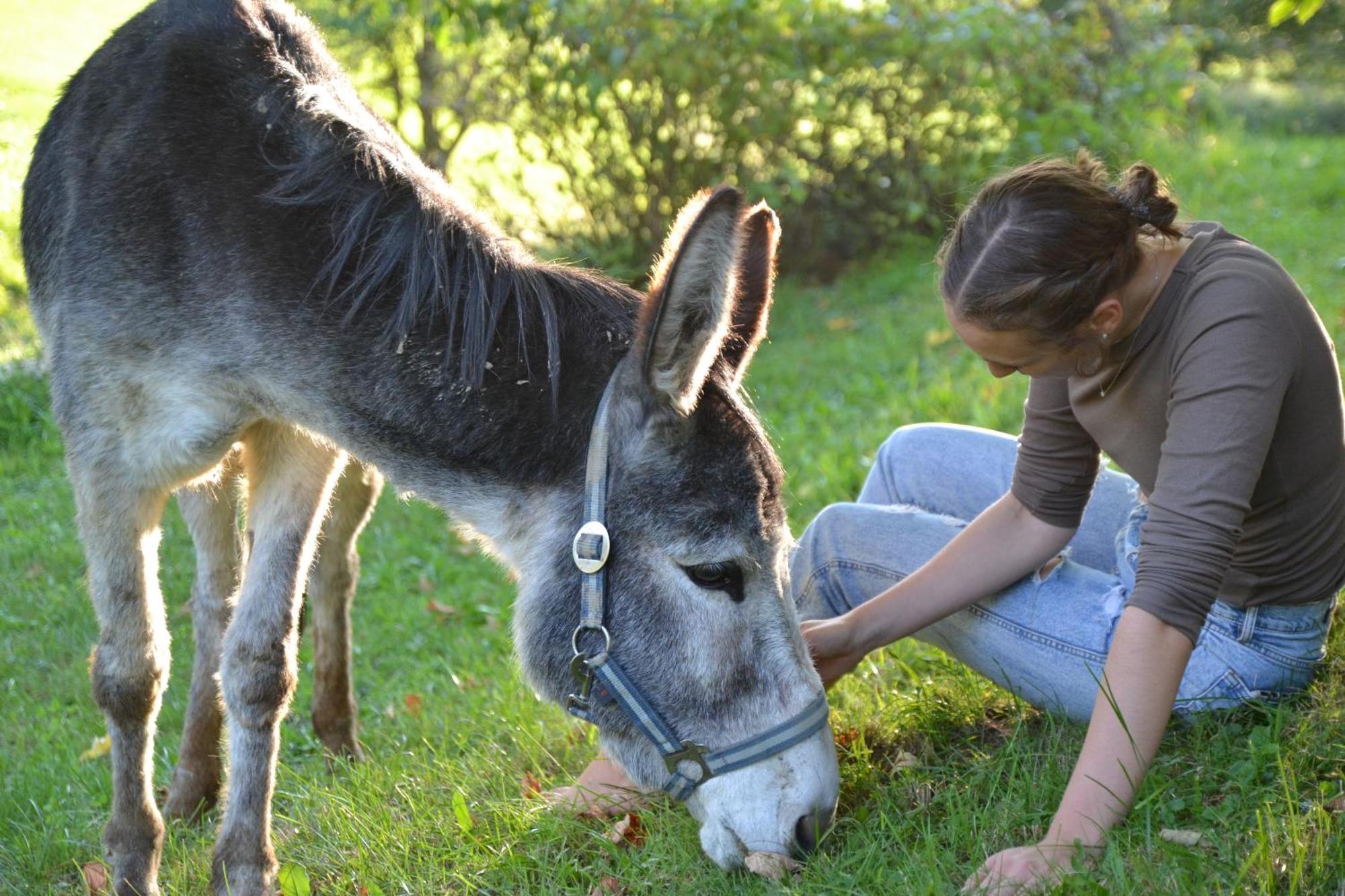 Ferienstadl - Hammerau Göstling an der Ybbs Zewnętrze zdjęcie