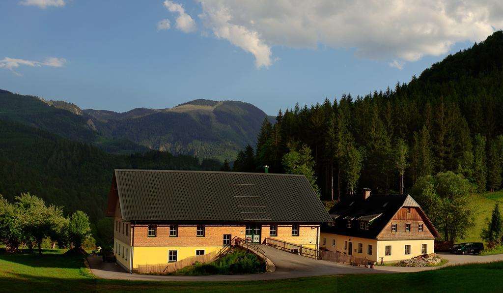 Ferienstadl - Hammerau Göstling an der Ybbs Zewnętrze zdjęcie